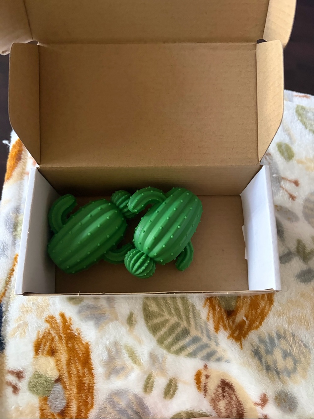 Green Cactus Dryer Balls